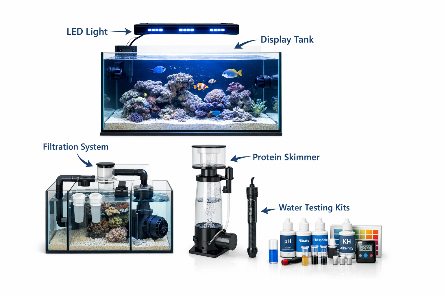 Detailed aquarium equipment layout showing tank, filtration system, protein skimmer, LED lighting, heater, and water testing kits arranged p