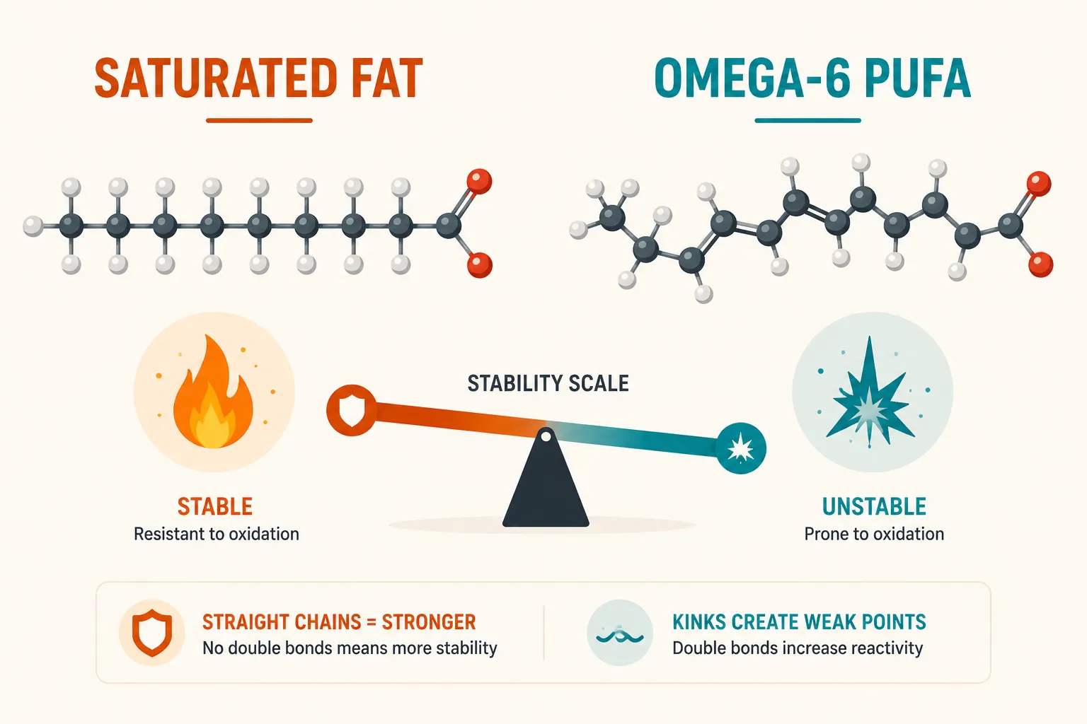 Beef Tallow Omega-6 to Omega-3 Ratio vs. Seed Oils