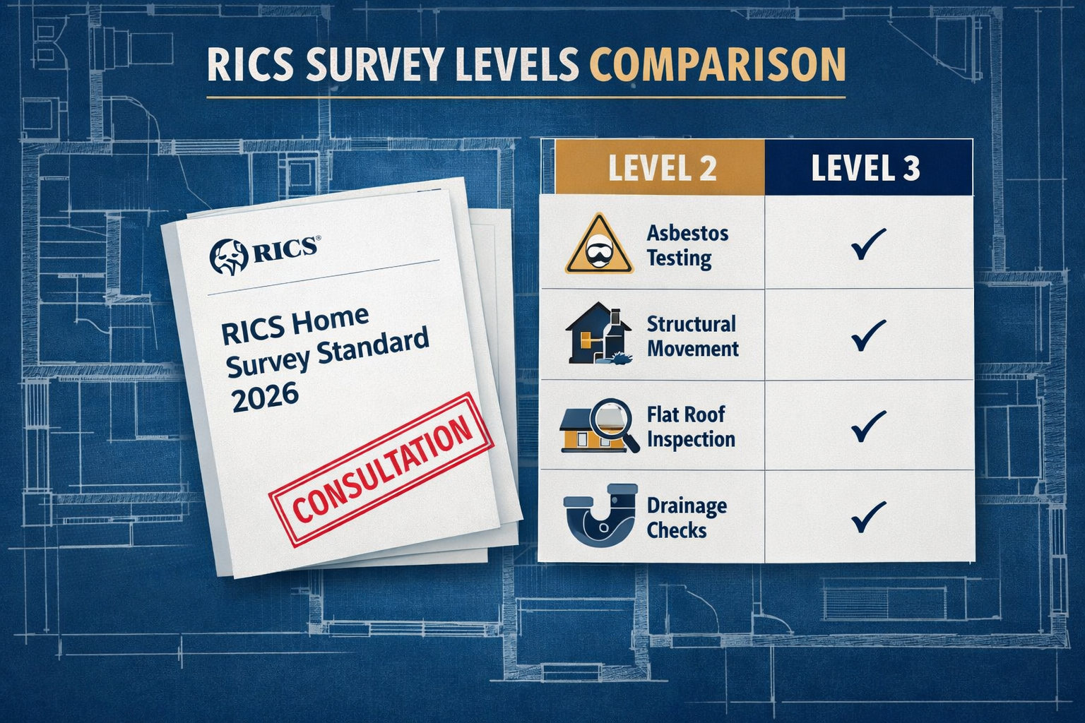 Infographic-style editorial image showing a comparison table of RICS survey levels (Level 2 vs Level 3) with icons