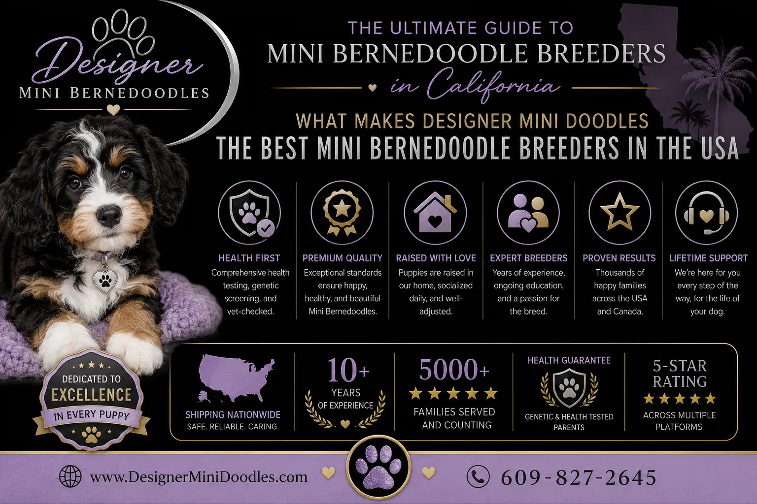 mini bernedoodle breeders in California