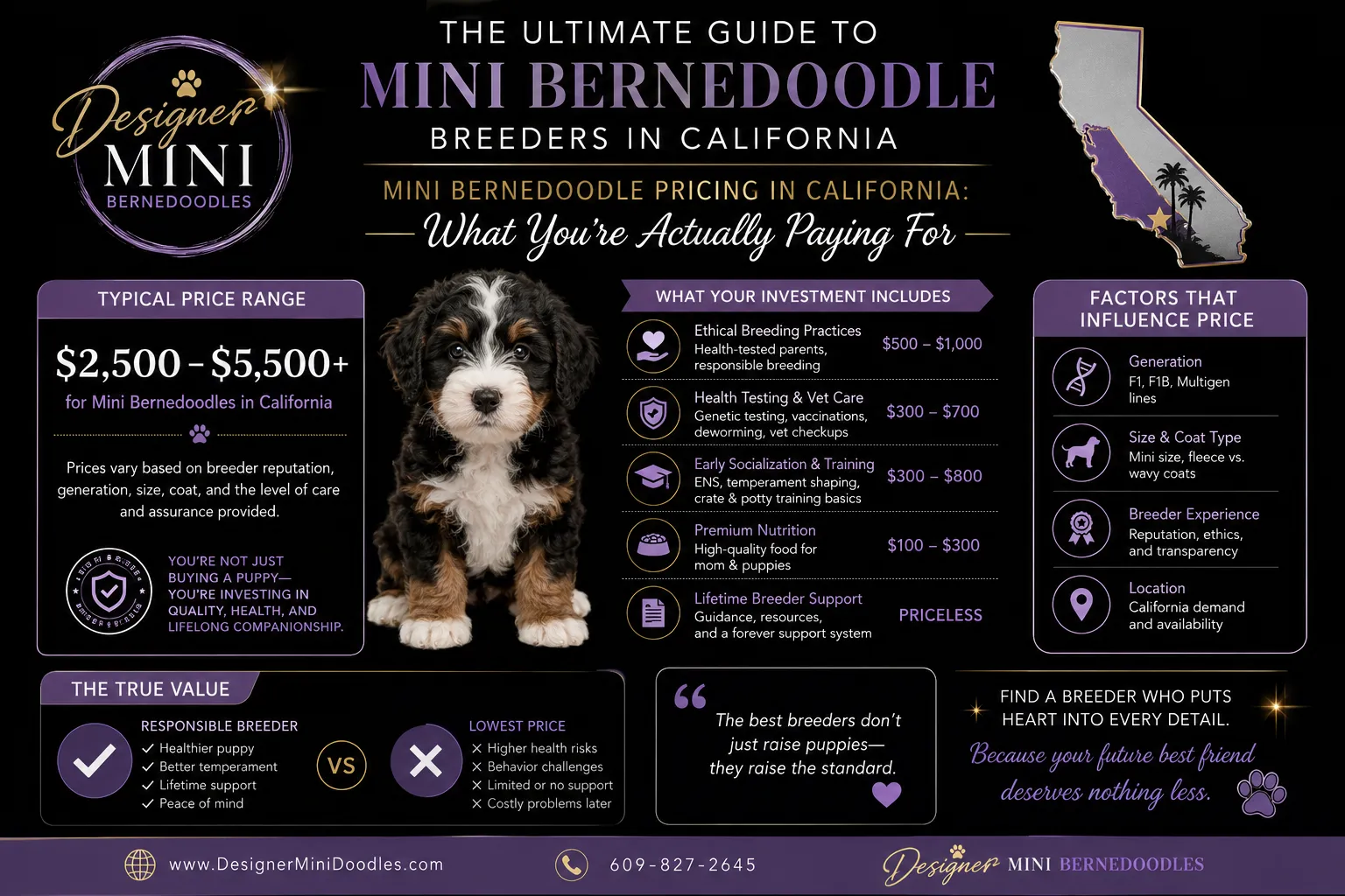 mini bernedoodle breeders in California