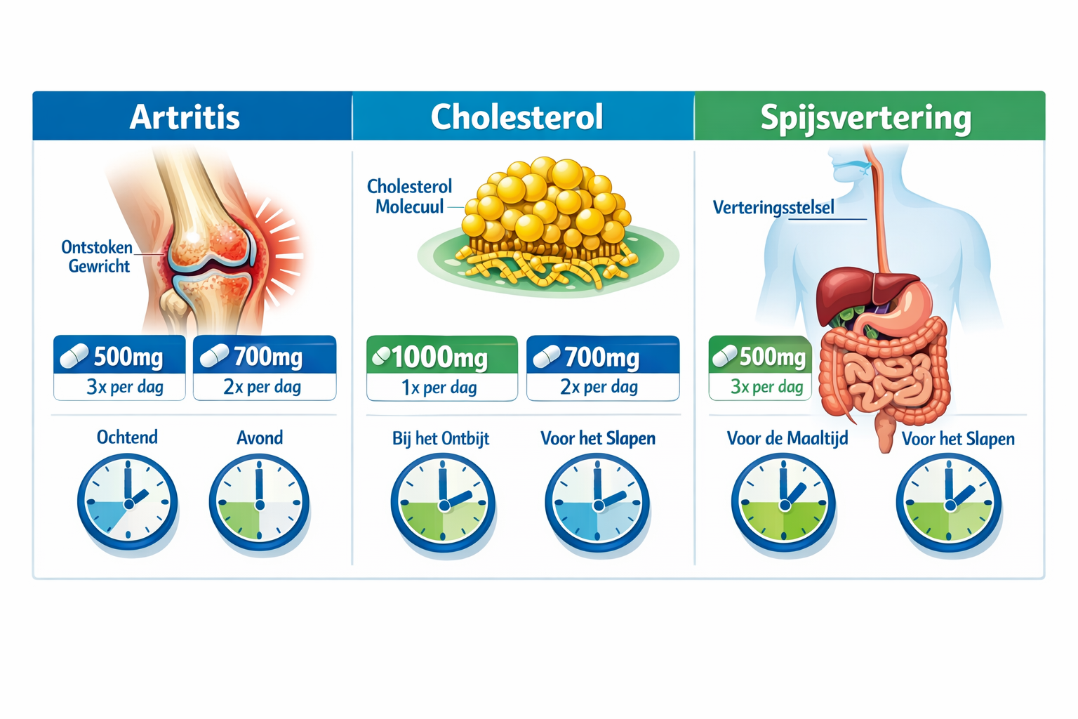 Afbeeldingen met Nederlandse tekst Landscape format (1536x1024) medical condition reference chart displaying arthritis joint illustration, c