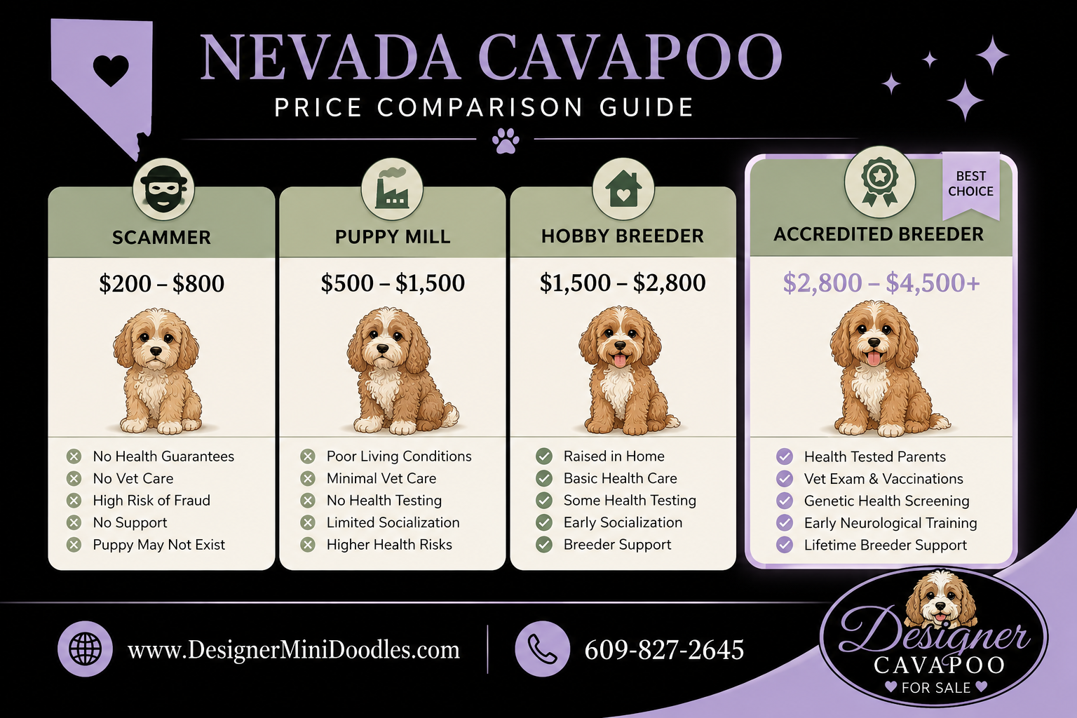 cavapoo for sale Nevada