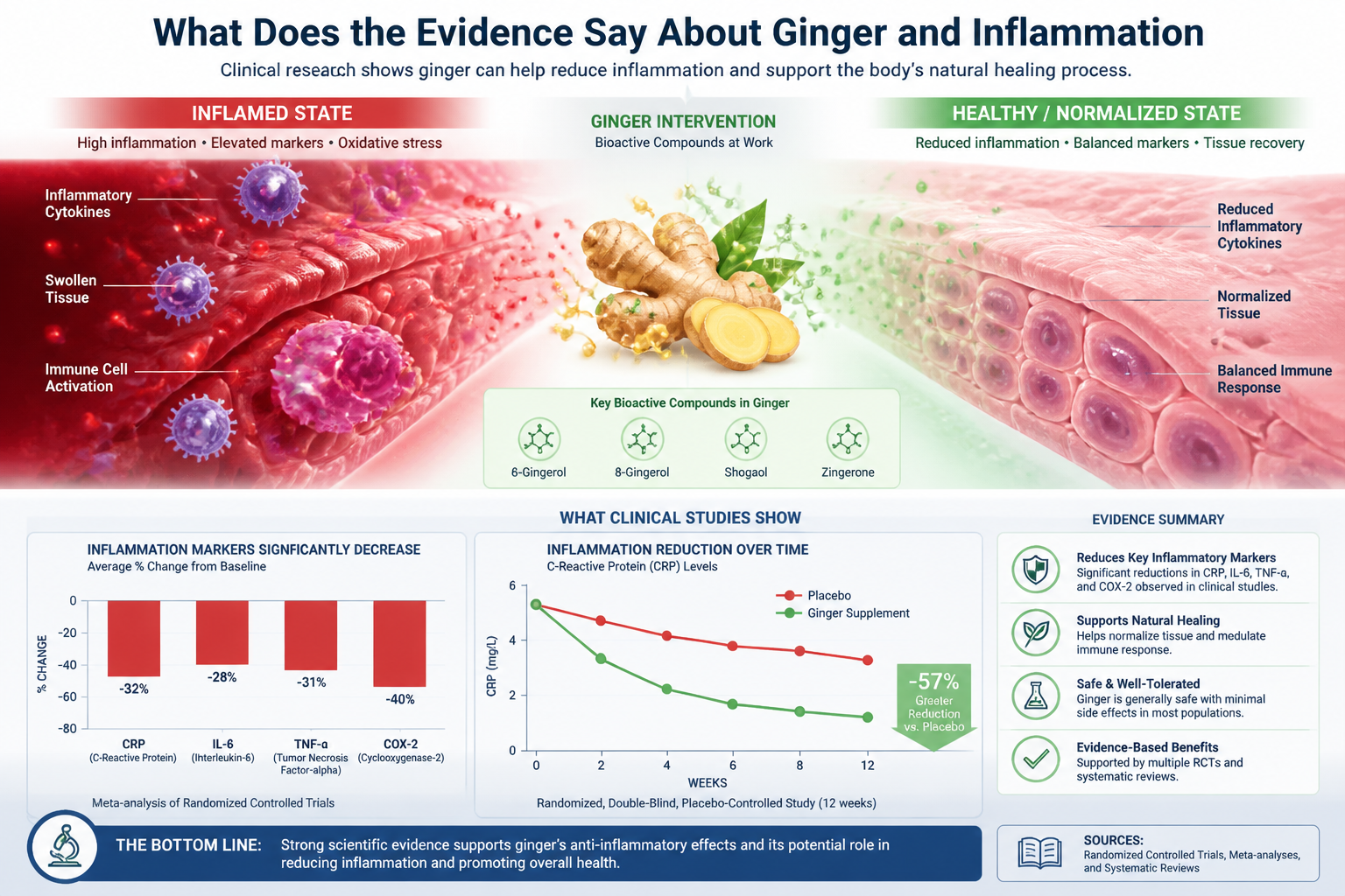 What Does the Evidence Say About Ginger and Inflammation section: Comparative medical research visualization showing