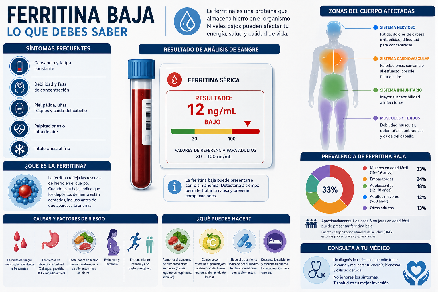 Infographic-style medical overview of low ferritin key points, featuring a human silhouette with color-coded zones