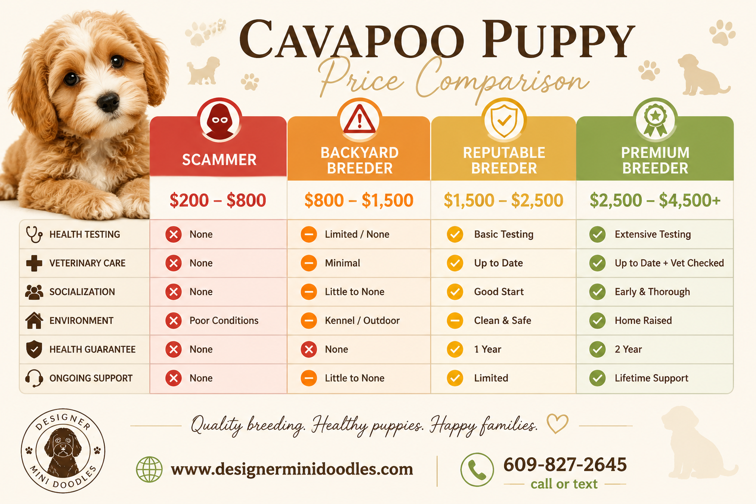 Cavapoo price chart