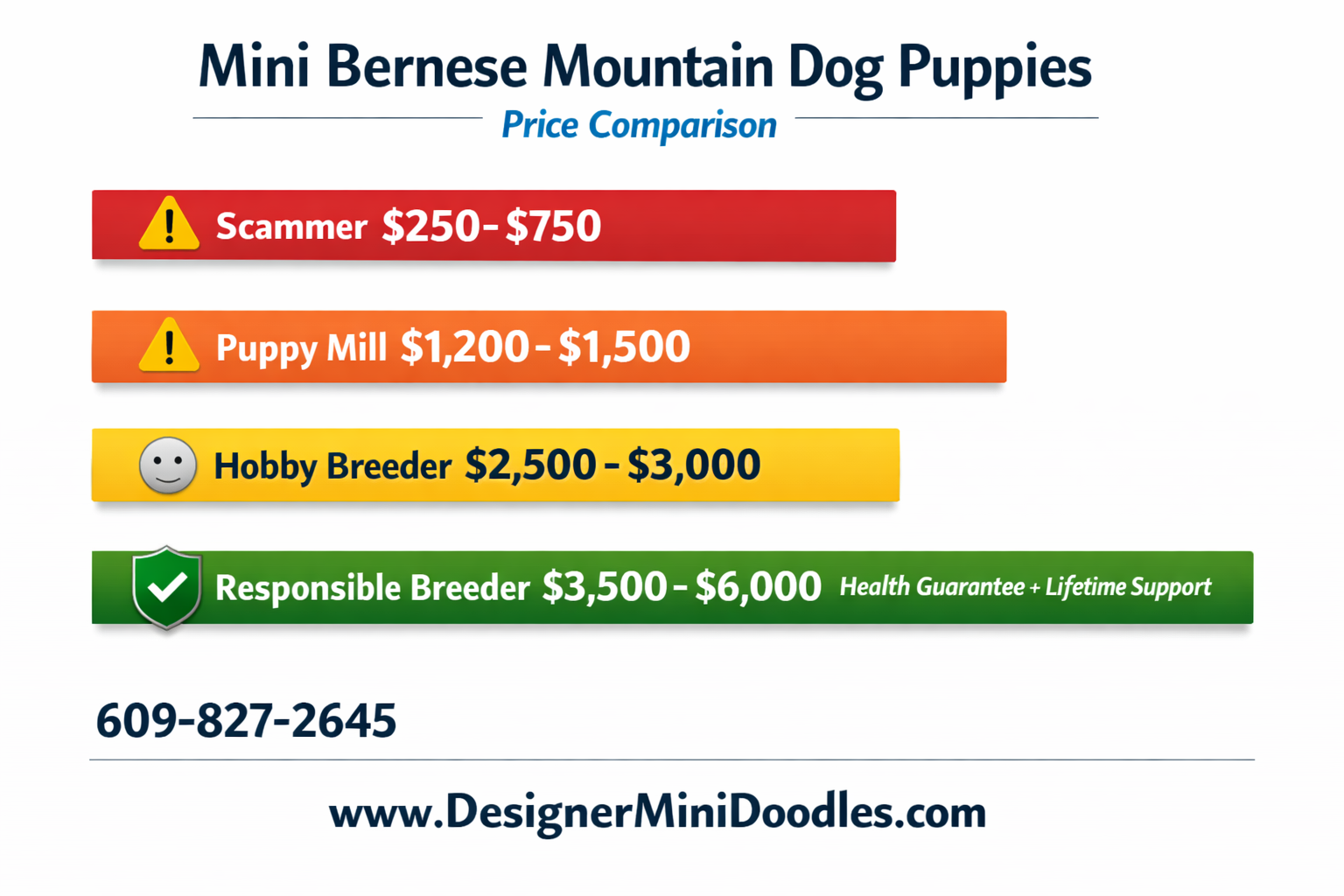 () creative infographic showing a horizontal price comparison bar chart for miniature bernese mountain dog puppies. Four