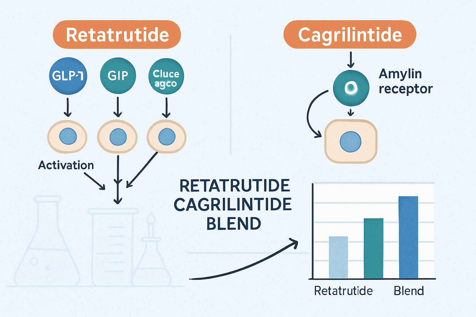 A detailed infographic illustrating the individual mechanisms of action for retatrutide and cagrilintide, showing distinct molecular pathway