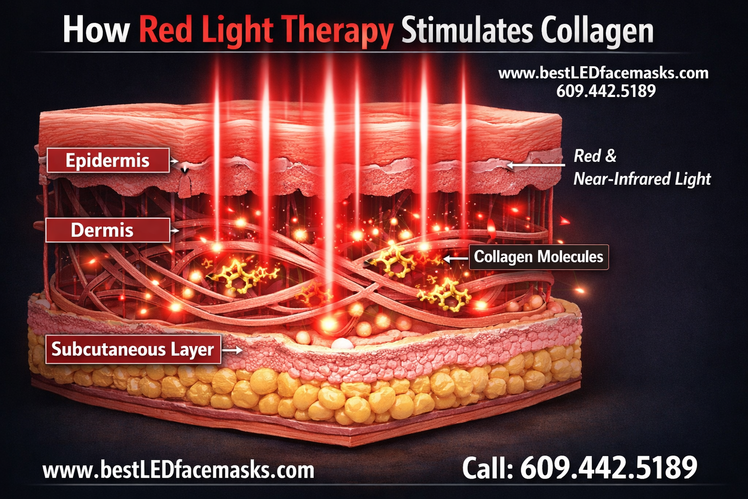 Detailed () editorial illustration showing the science of red and near-infrared light penetrating multiple layers of human