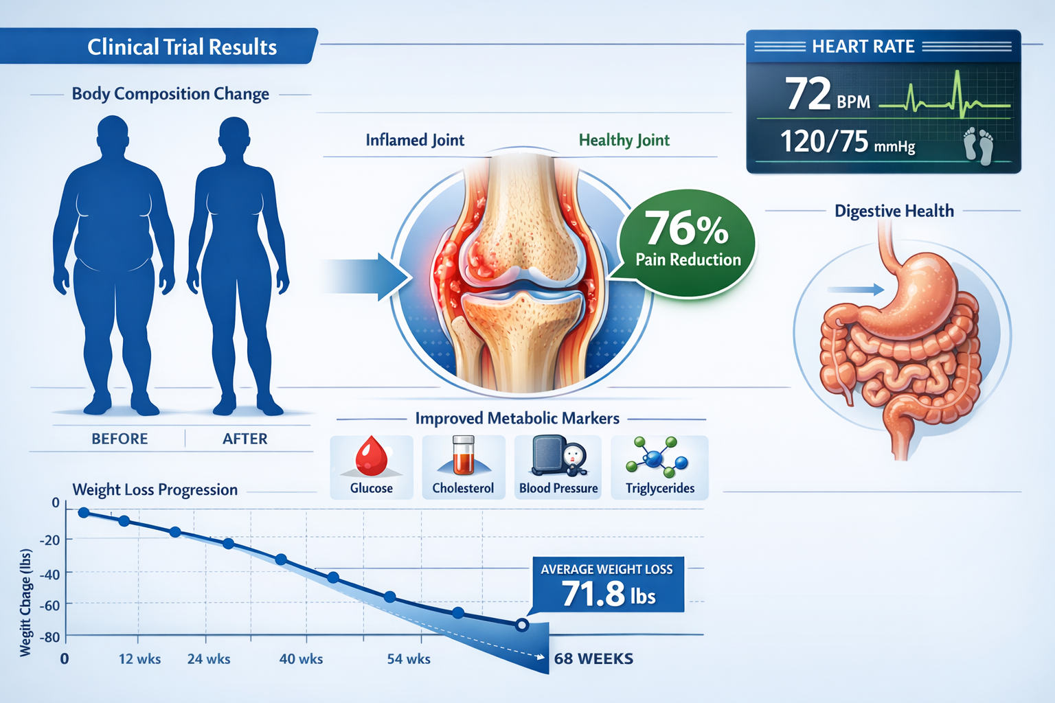 Landscape format (1536x1024) visual representation of clinical trial results showing before-and-after body composition changes with anatomic
