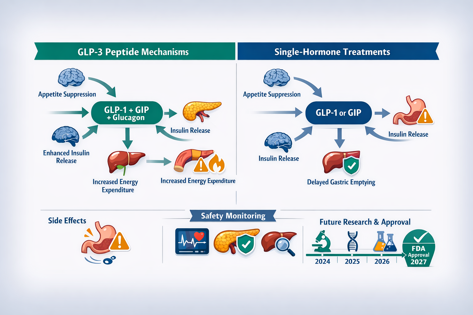 Landscape format (1536x1024) comparison infographic displaying GLP-3 peptide mechanisms versus single-hormone treatments, shown as side-by-s