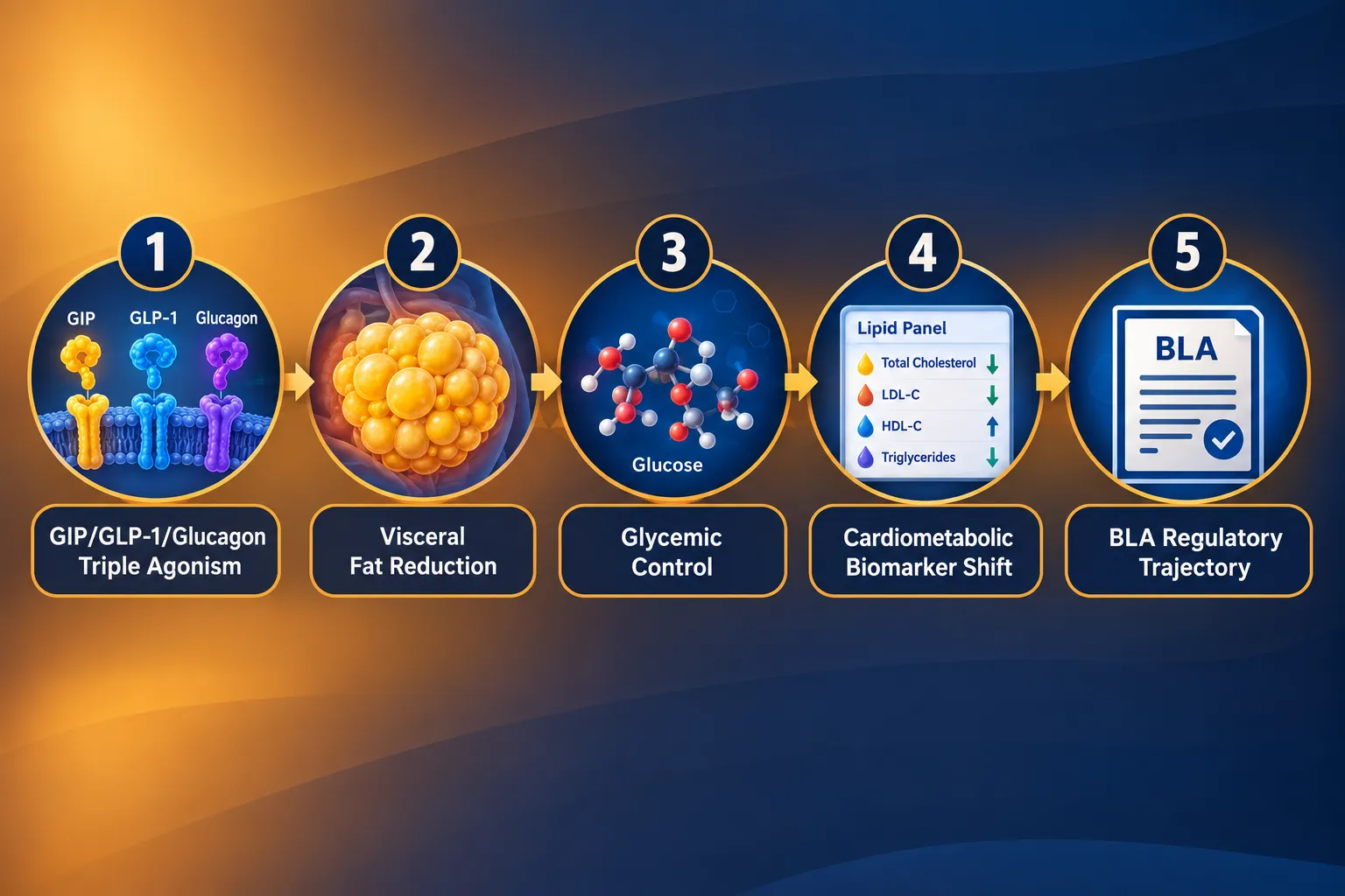 Metabolic Endpoints Across TRIUMPH-2, TRIUMPH-3, and TRANSCEND-T2D-1