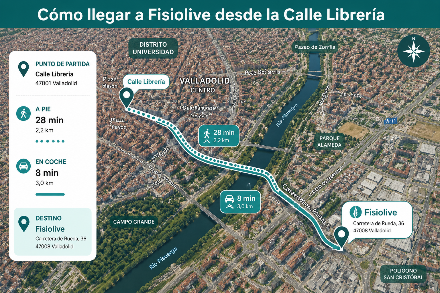 Áreas de intervención nutricional en Fisiolive Valladolid