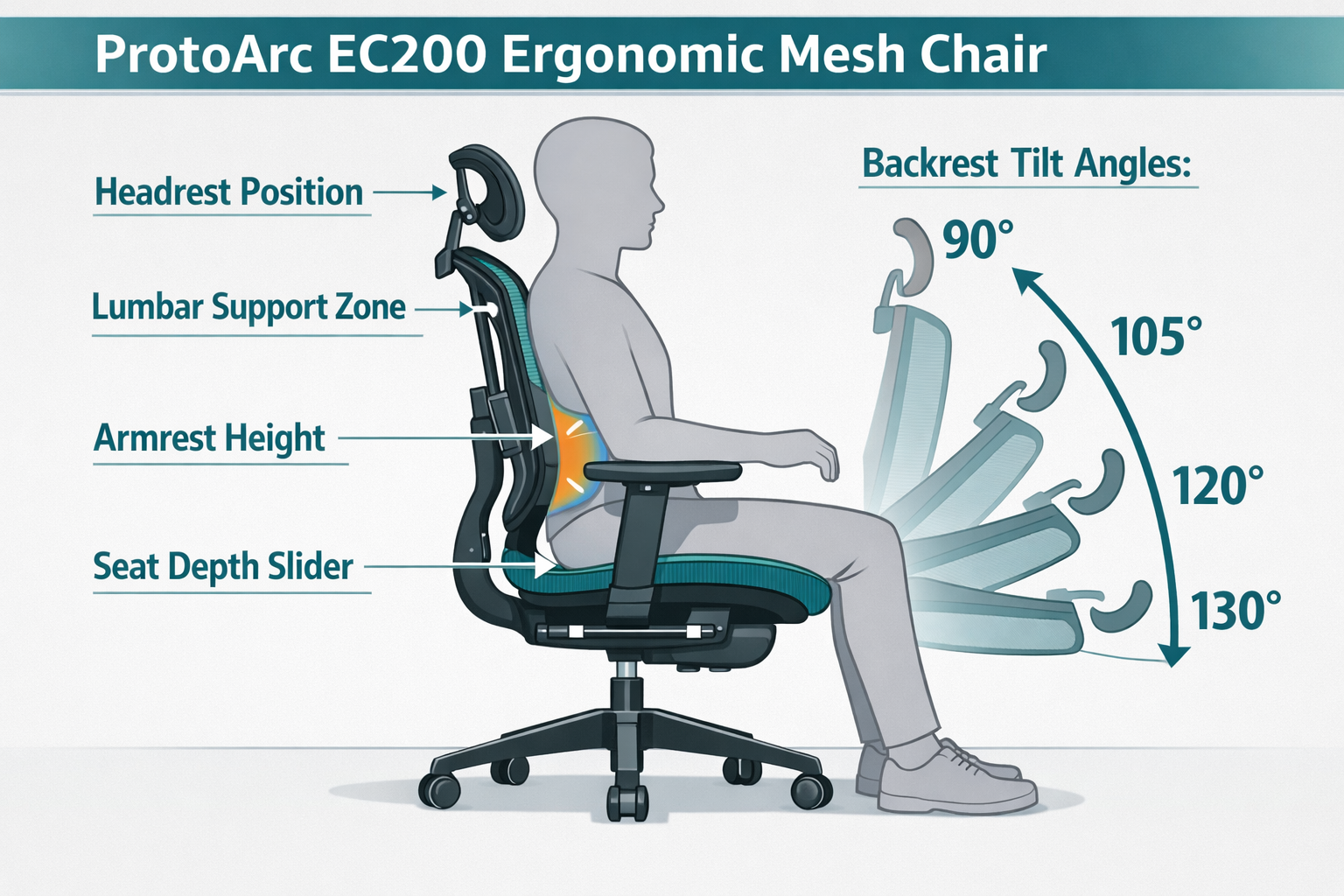 Digital illustration, graphic design style, Detailed landscape format (1536x1024) infographic-style illustration showing a side-profile anatomical diagram of a person seated in the ProtoArc EC200 ergonomic mesh chair, with labeled callout arrows pointing to lumbar support zone, headrest position, seat depth slider, armrest height, and backrest tilt angles (90°, 105°, 120°, 130°). Clean medical-editorial aesthetic with teal and white color palette, light grey background, bold sans-serif labels, professional ergonomics chart style.