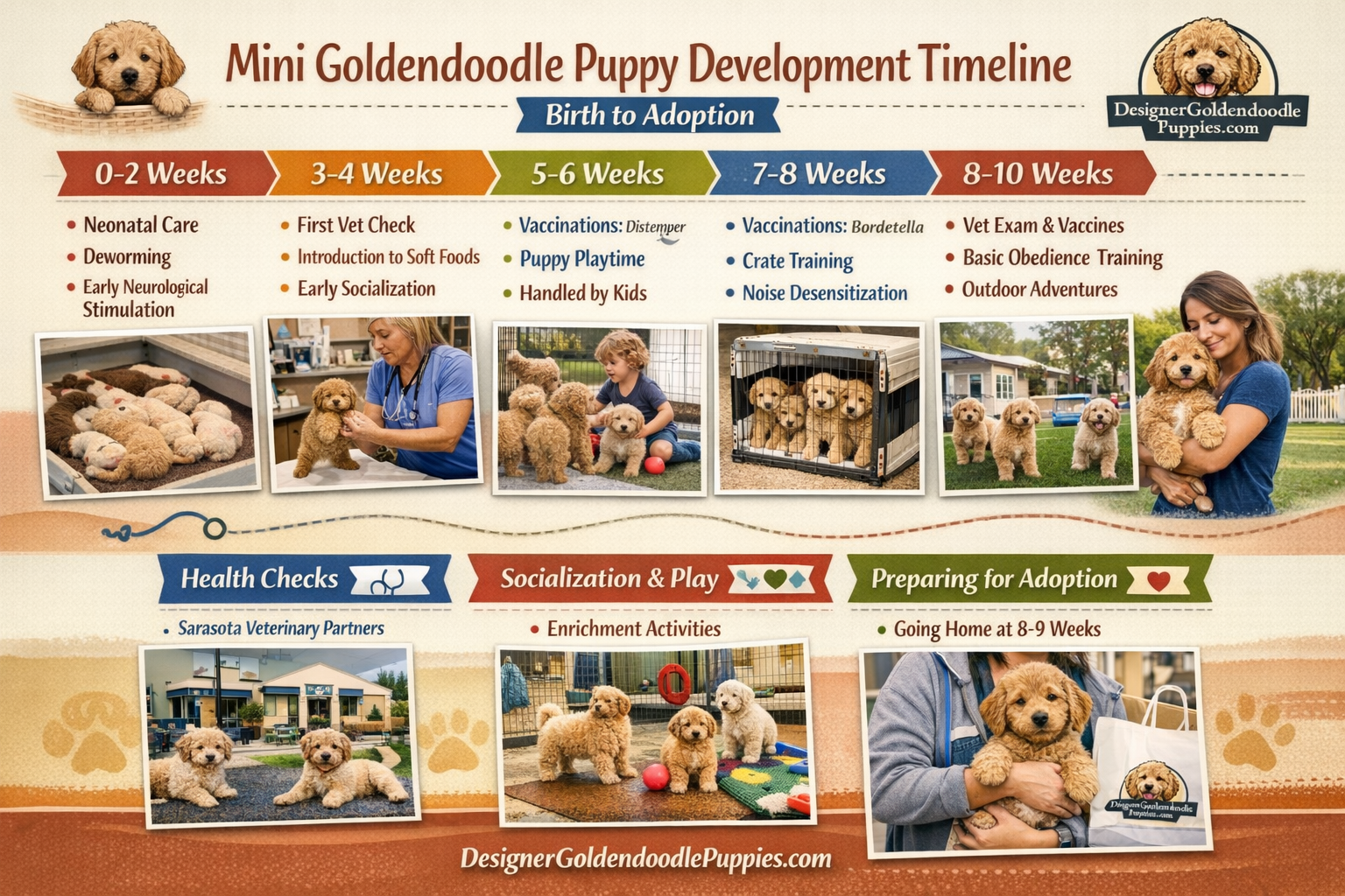 use keyphrases / topics as alt text do not use big paragraphs. Put logo of designergoldendoodlepuppies.com in images as possible where possi