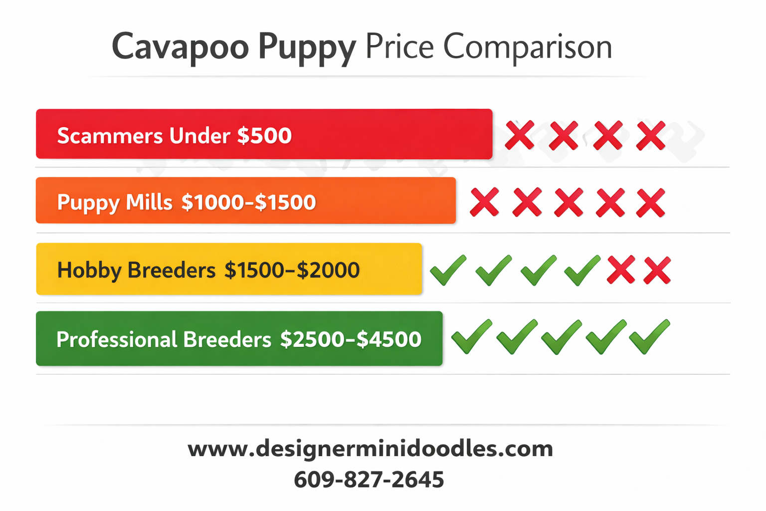 Cavapoo puppies for sale Florida