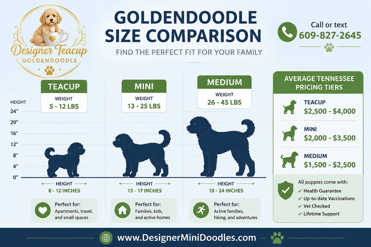 What's the Difference Between a Teacup and a Mini Goldendoodle?