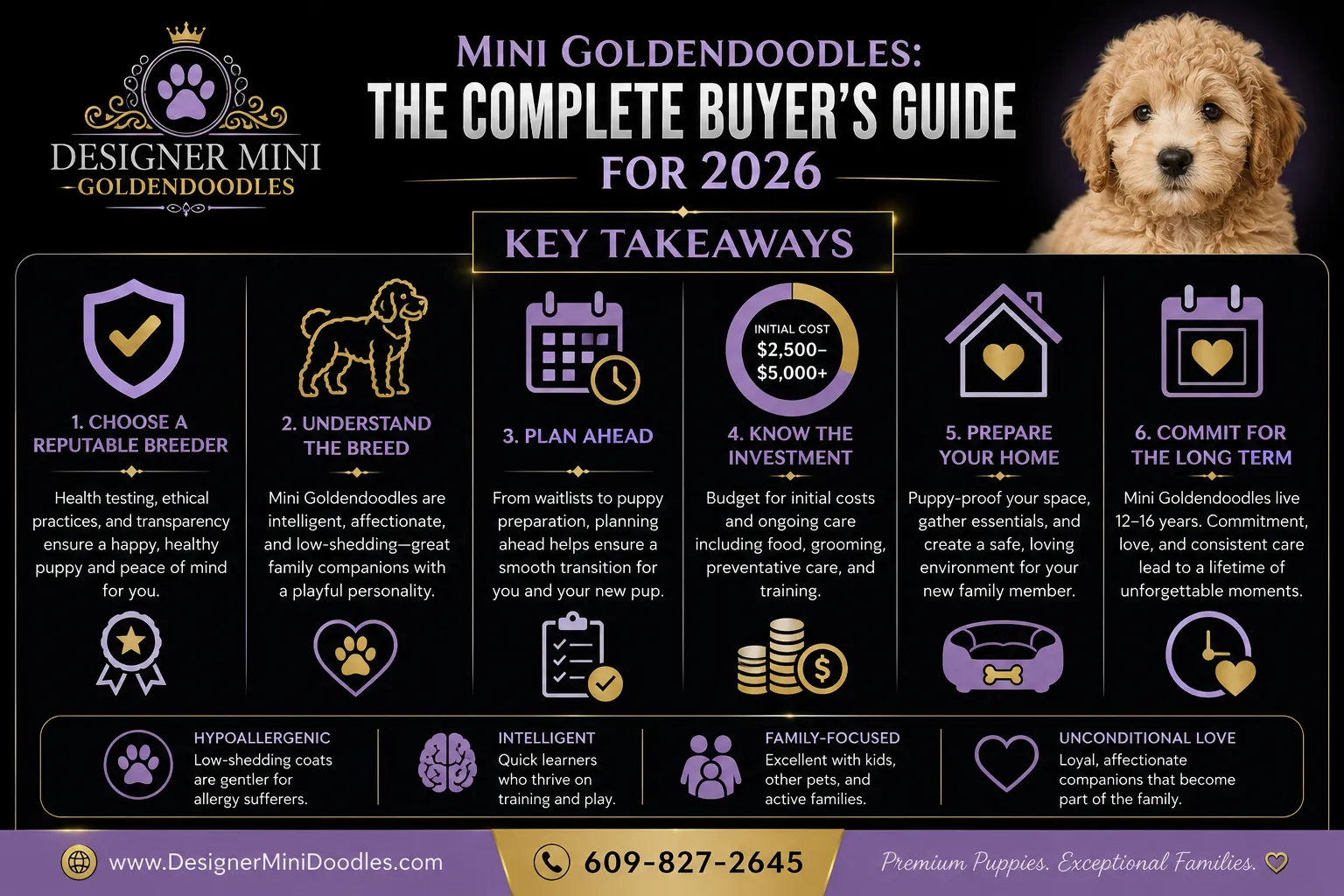 Where to Buy Mini Goldendoodles