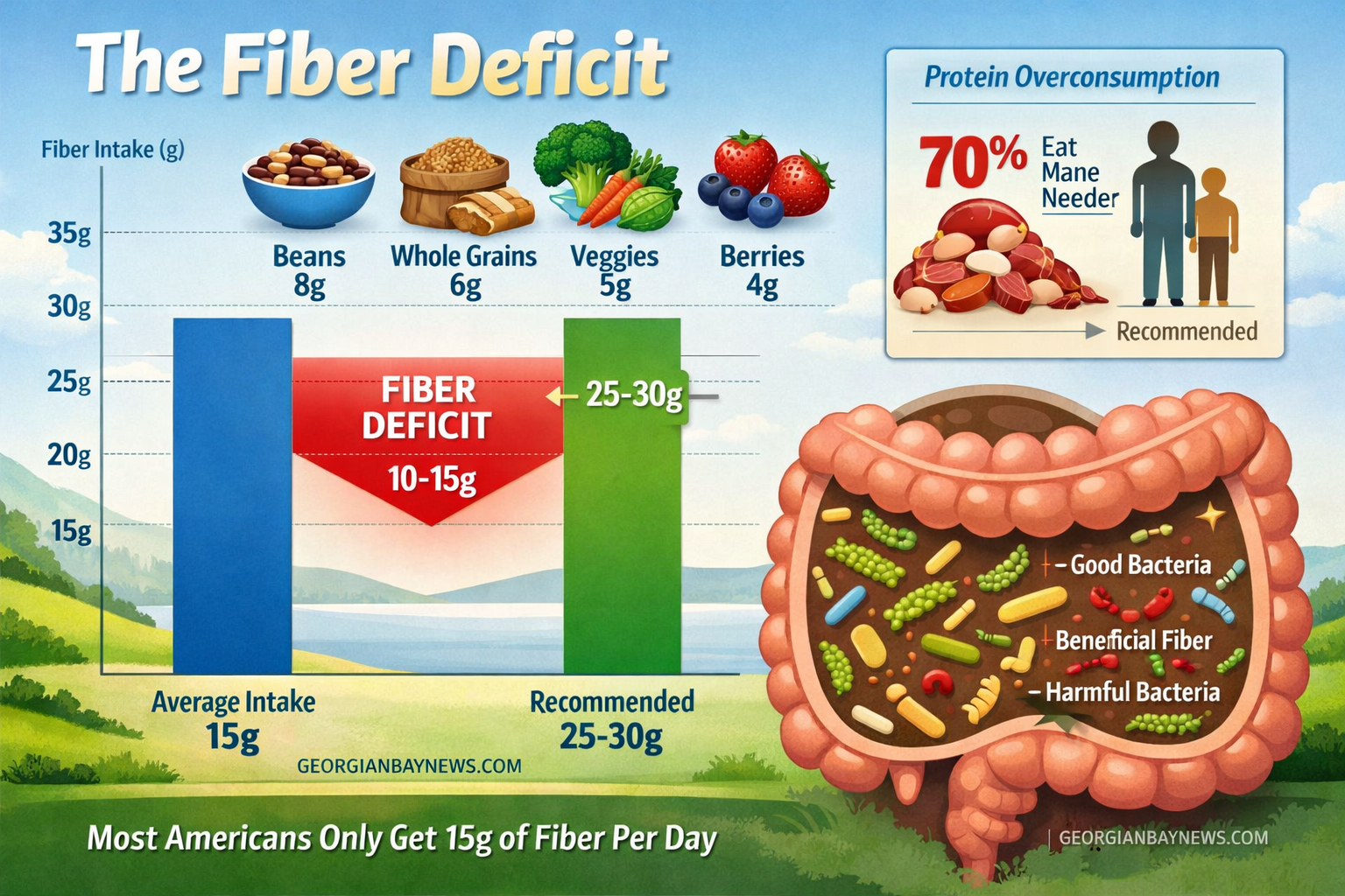Include the text: GEORGIANBAYNEWS.COM, in each image in a discreet fashion. Detailed landscape infographic (1536x1024) showing the fiber gap