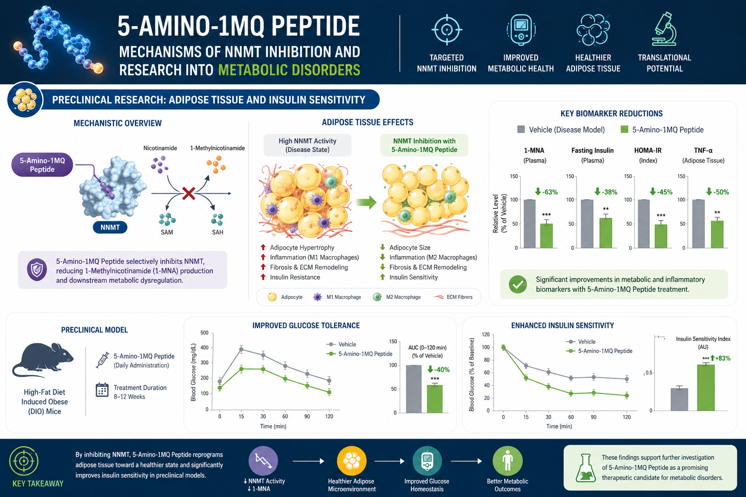 Preclinical Research: Adipose Tissue and Insulin Sensitivity