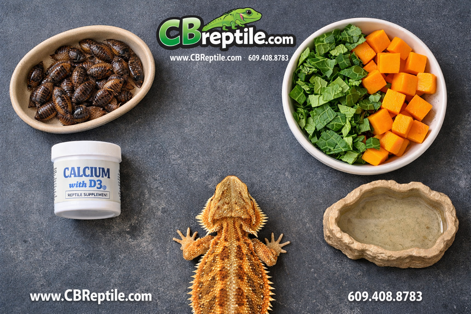 () overhead flat-lay food photography showing a bearded dragon diet spread: a ceramic dish with live dubia roaches, a