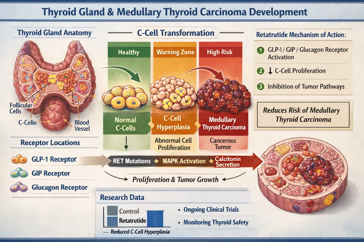 Retatrutide Thyroid Cancer Warning