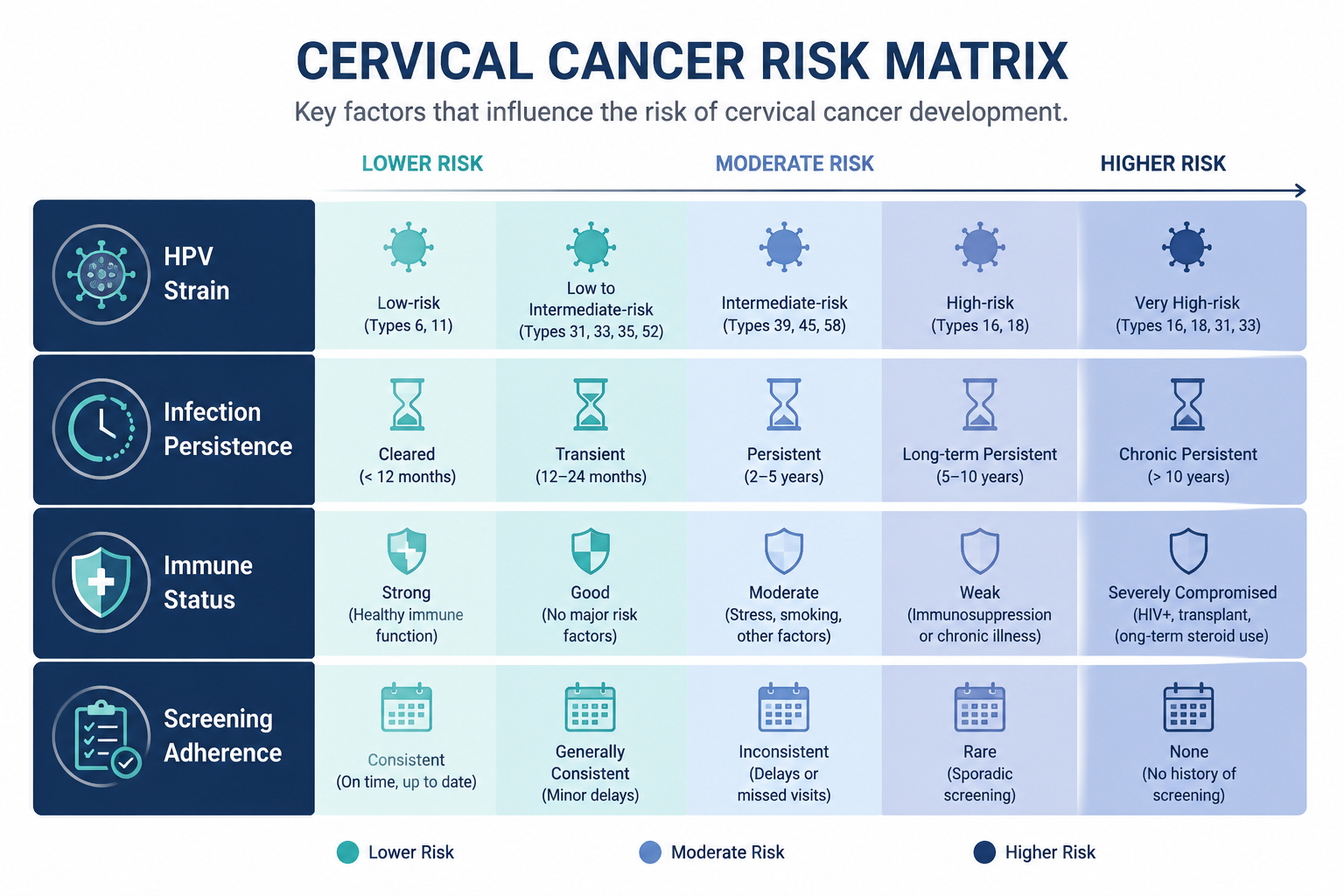 () clean medical infographic-style illustration showing a risk matrix table with four labeled rows: HPV Strain, Infection