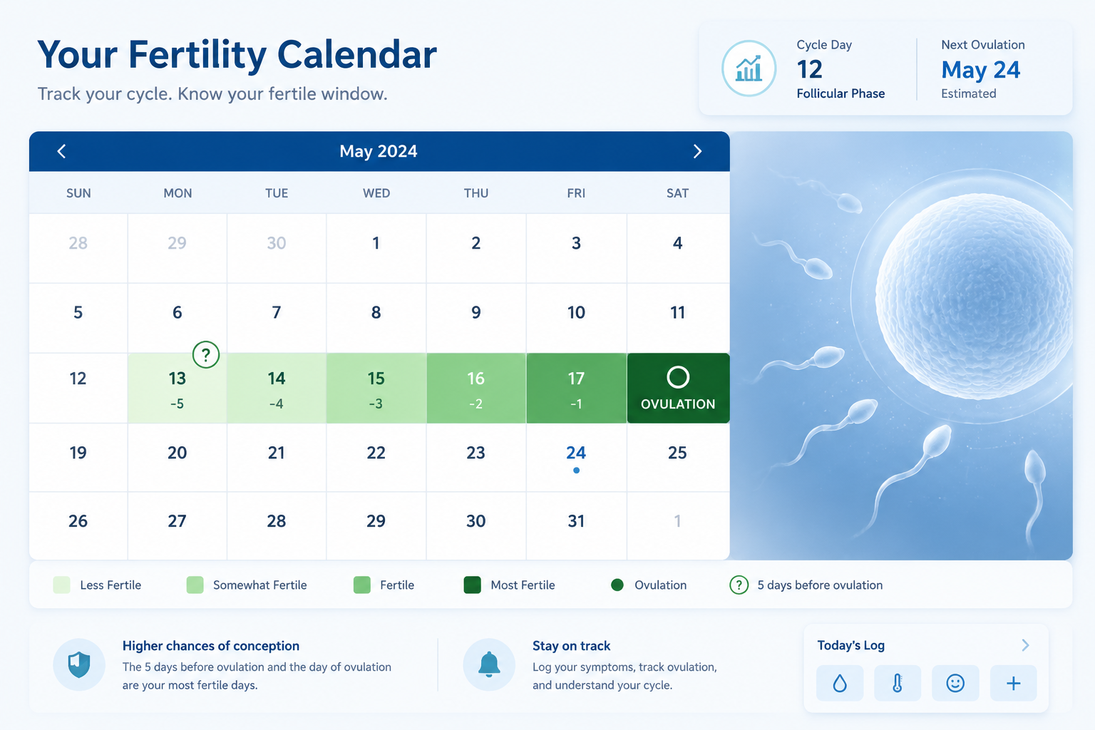 () image showing a stylized calendar with the days leading up to ovulation highlighted in a from light green (less fertile)