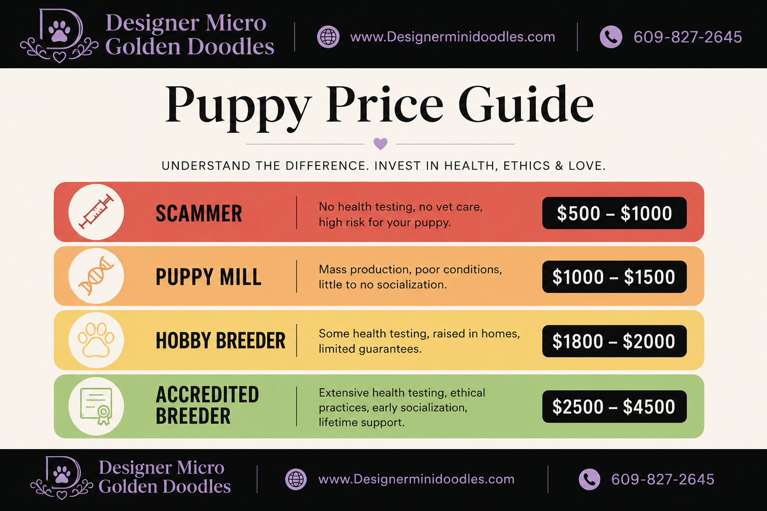 Micro Goldendoodle Price Range New Jersey