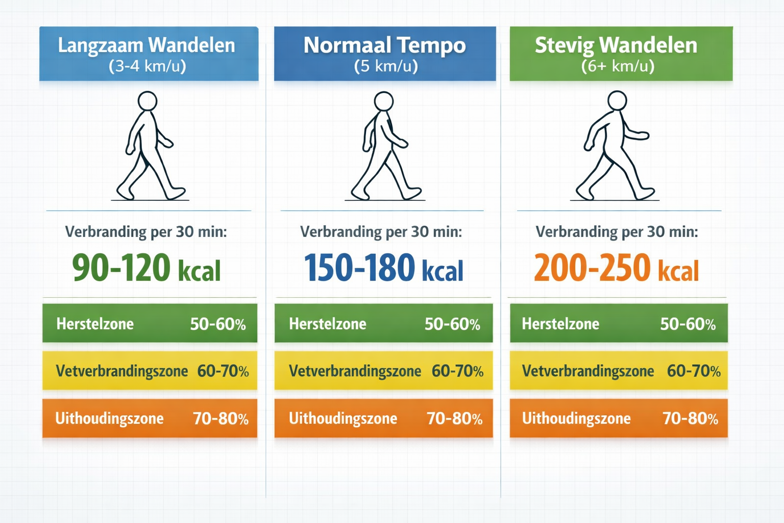 Detailed infographic showing walking pace comparison chart (1536x1024 landscape) with three distinct columns: langzaam wandelen (3-4 km/u),
