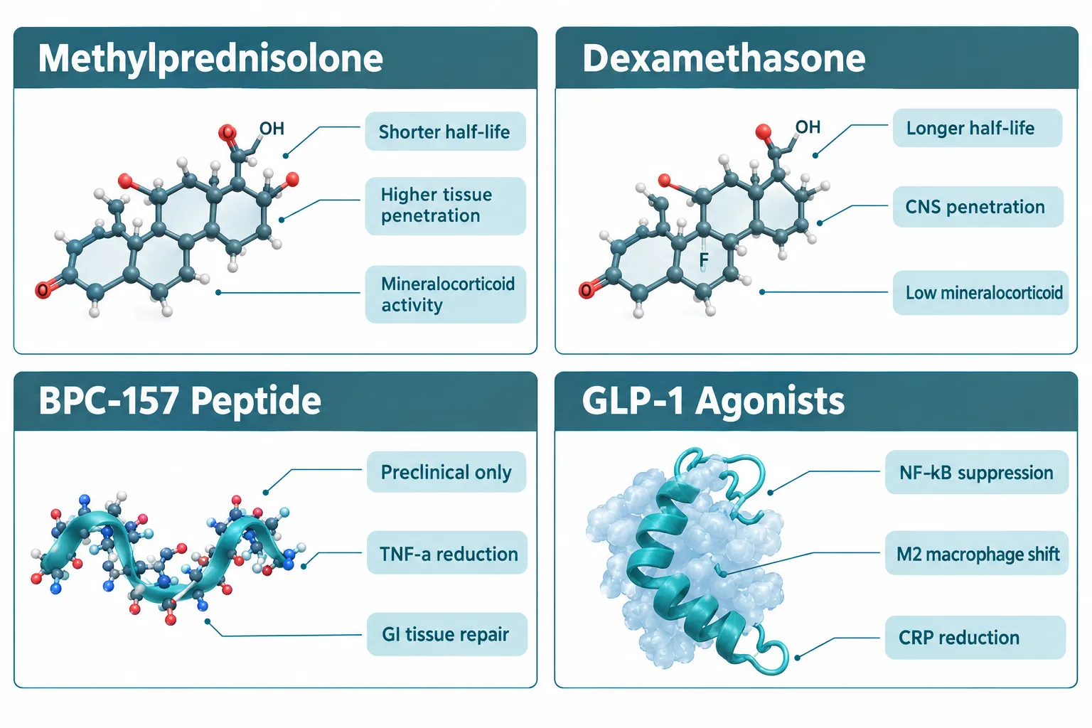 Corticosteroid Pharmacology: Why Methylprednisolone and Dexamethasone Are Not Interchangeable