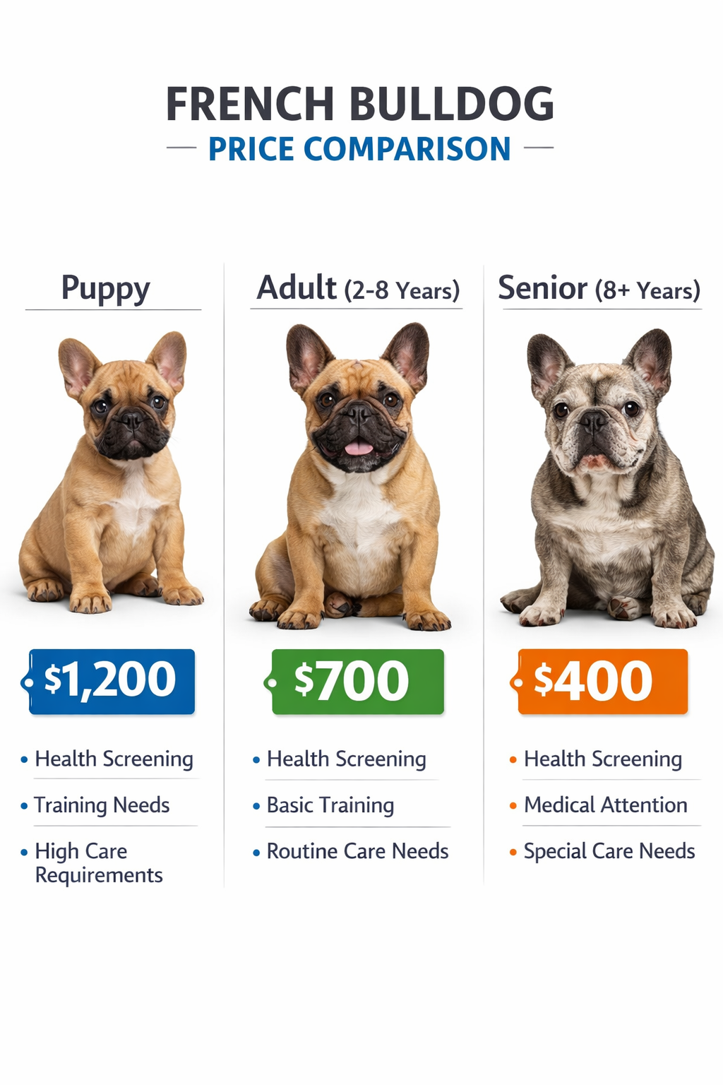 Portrait format (1024x1536) visual comparison chart showing three French Bulldogs of different ages with price tags - young puppy (Section Image,200),