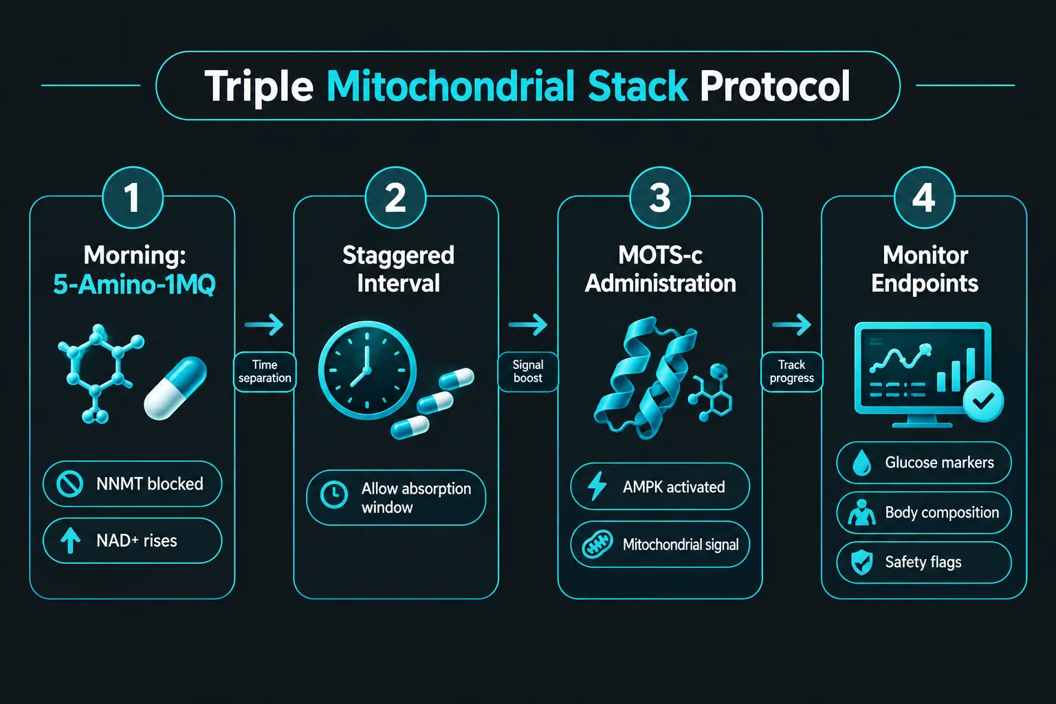 Emerging Stacking Protocols and What Makes This Combination Interesting in Metabolic Research