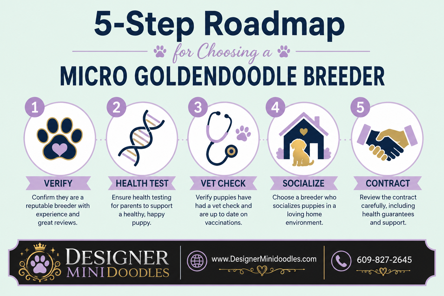 Micro Goldendoodle Temperament and Training Difficulty