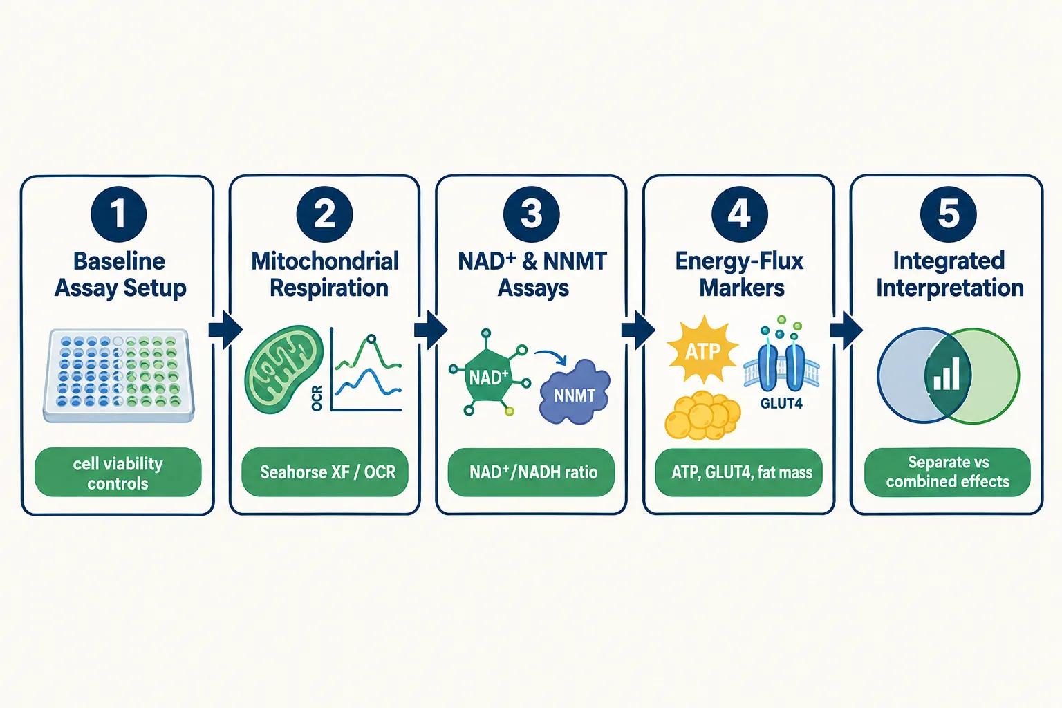 Building an Attribution-Proof Protocol: Step-by-Step