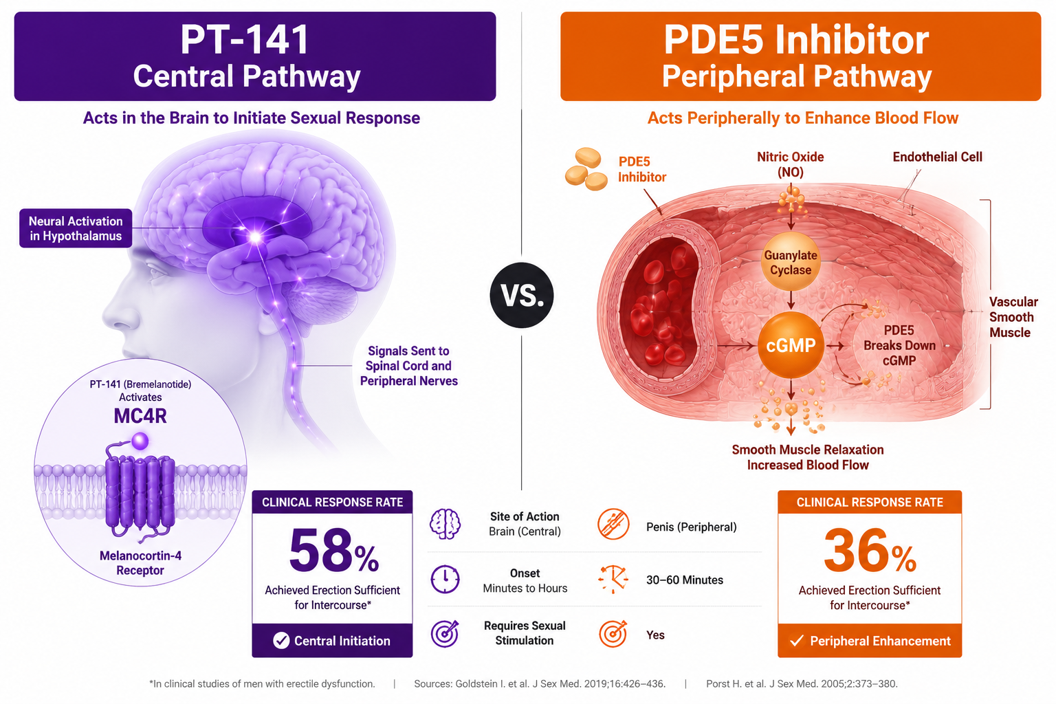 Receptor Selectivity, Pharmacokinetics, and Research Endpoints