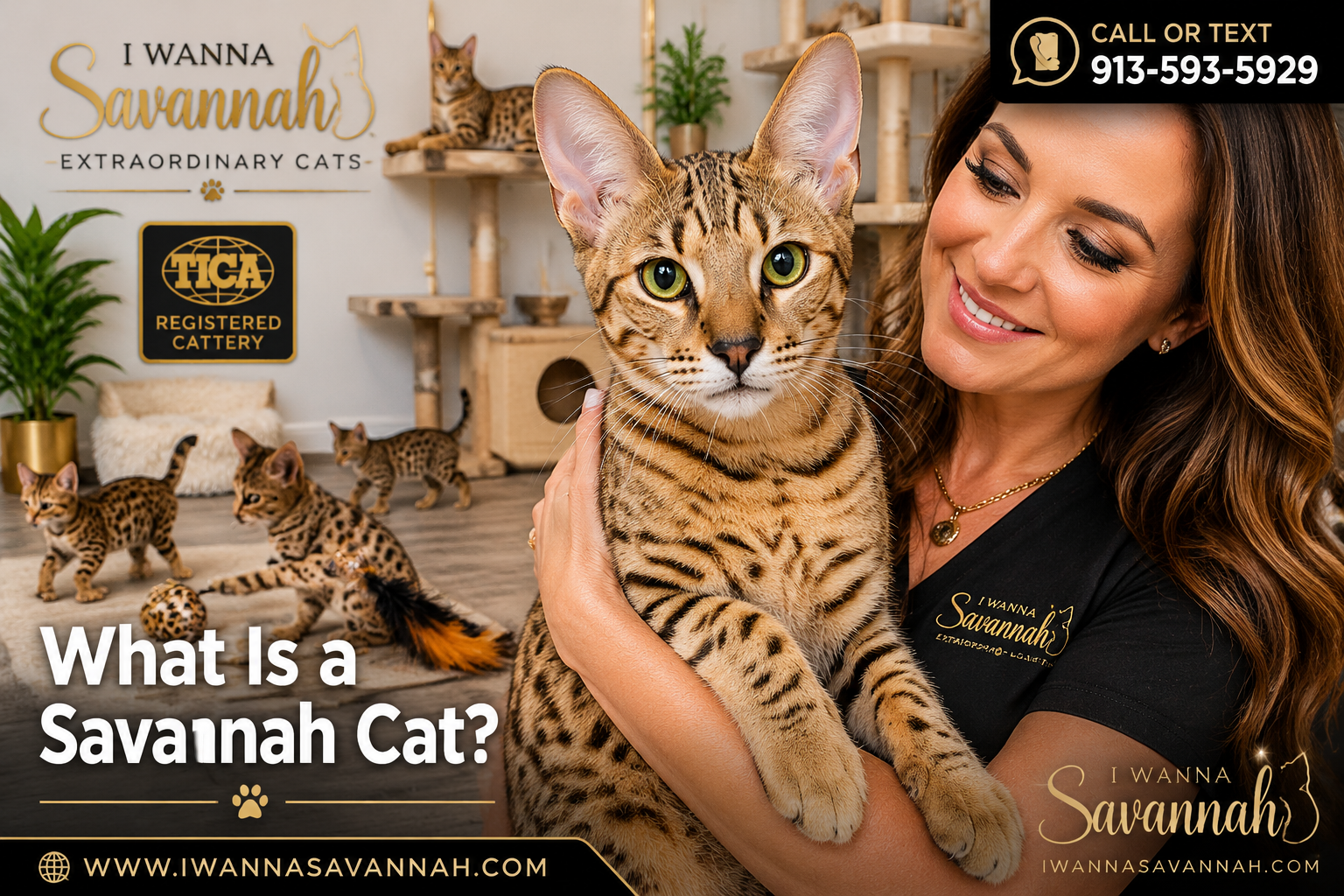 What Is a Savannah Cat and Why Are They So Sought After?