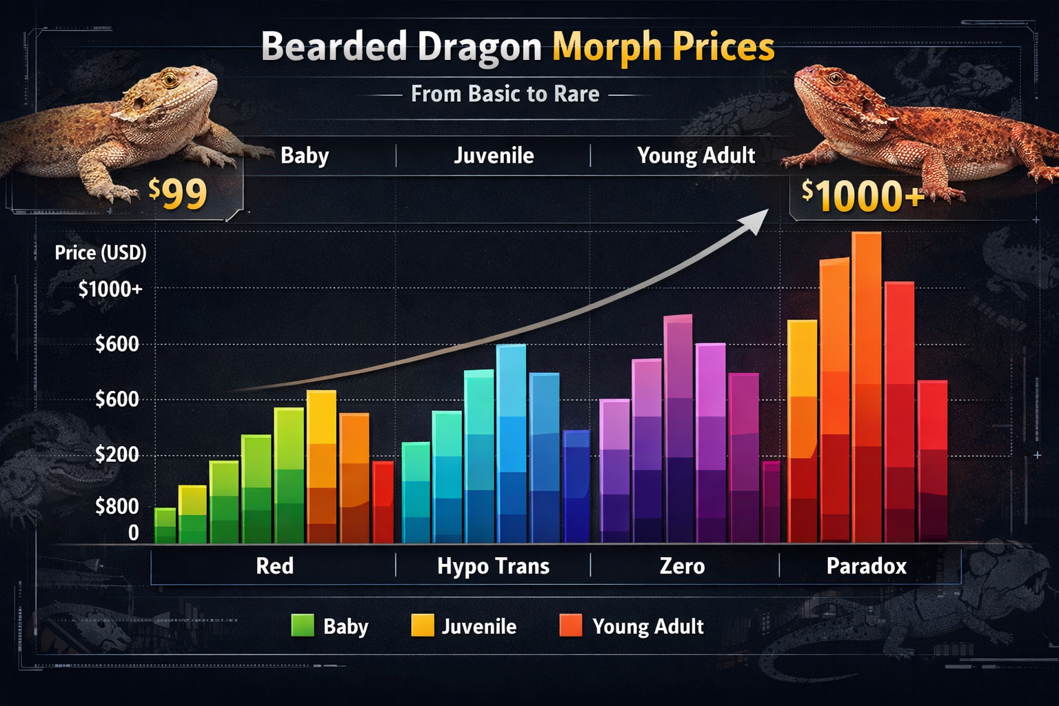 Interactive pricing chart visualization showing bearded dragon morph prices from basic ($99) to rare morphs (Section Image000+) with colorful bar graph