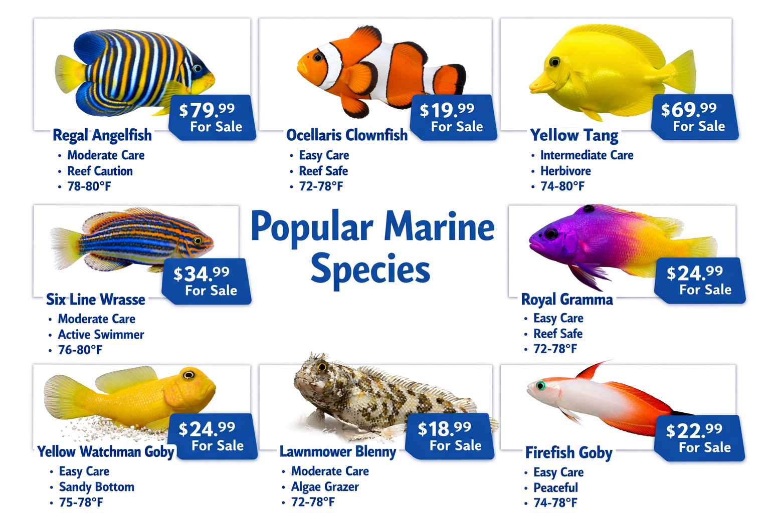 Interactive landscape infographic (1536x1024) showcasing popular saltwater fish species arranged in a grid layout. Features high-quality pho