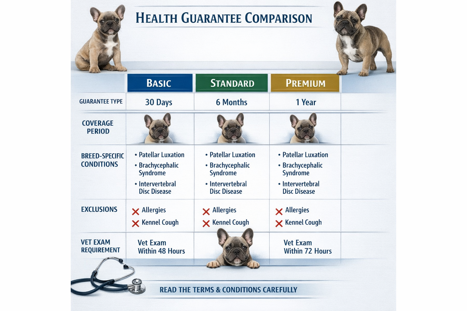 Portrait format (1024x1536) comparison chart showing different health guarantee types and coverage periods. Features French Bulldog breed-sp