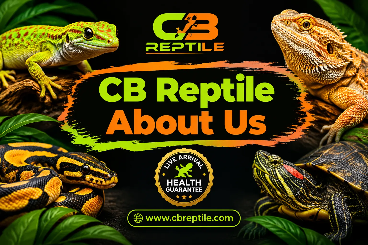 Professional landscape hero image () with a reading "CB Reptile About Us". CRITICAL TYPOGRAPHY RULES: render the text on 1–2