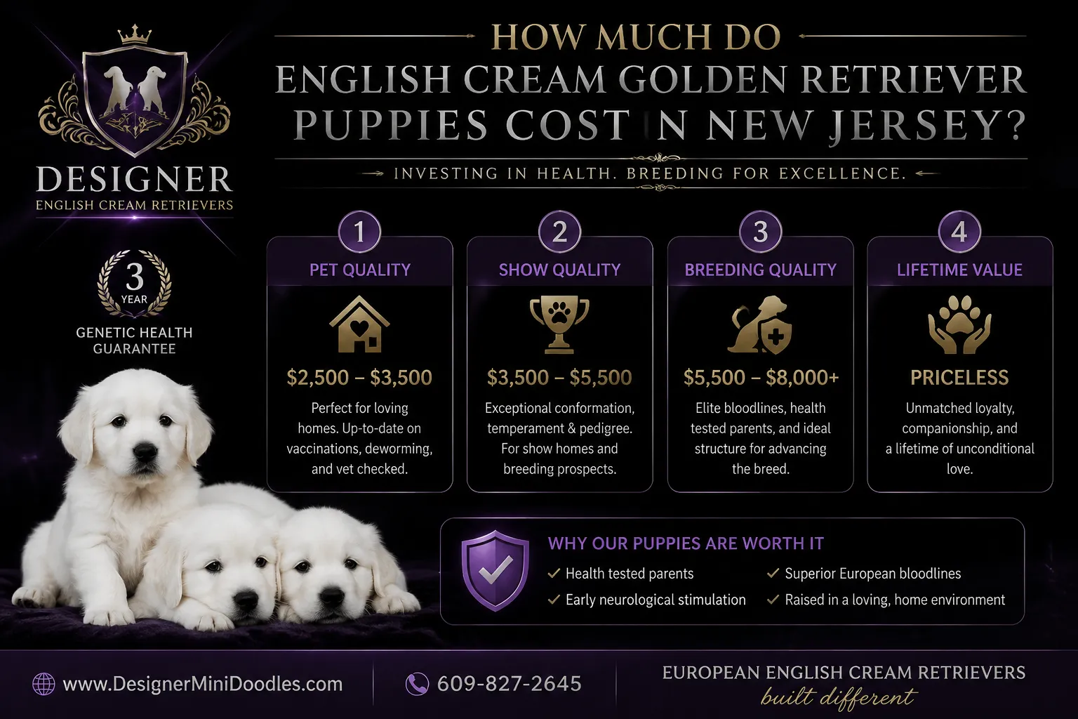 =reputable English cream golden retriever breeders