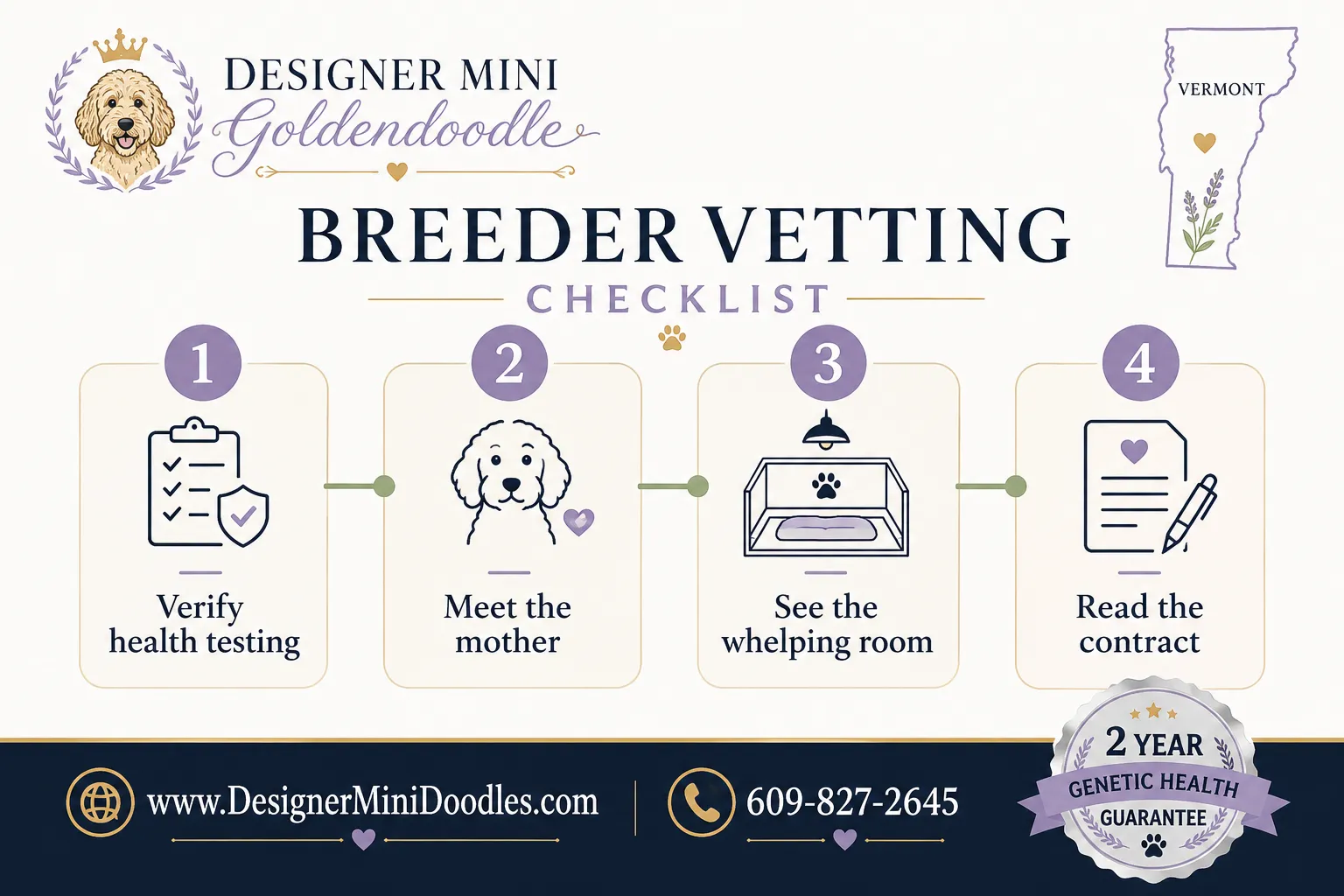 Finding Mini Goldendoodle Breeders for Vermont Buyers