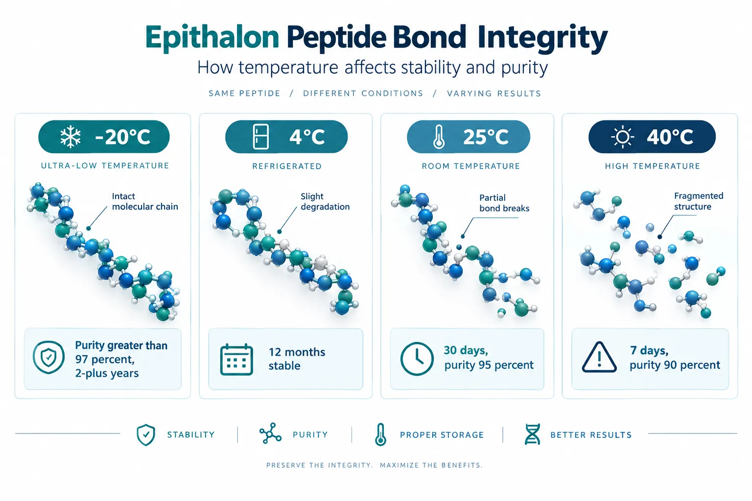 How Temperature Drives Peptide Bond Degradation in Epithalon