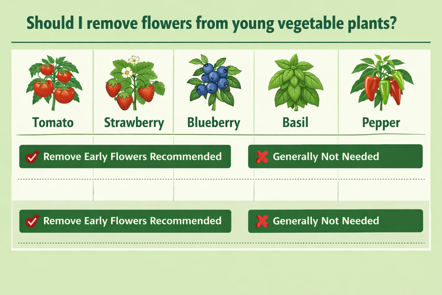 flowers from young vegetable plants
