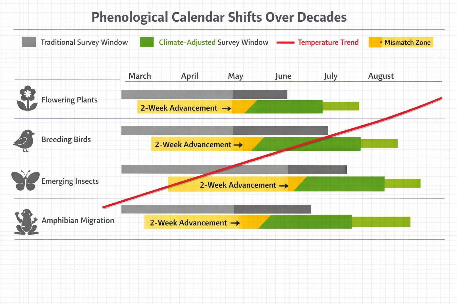 () detailed infographic showing phenological calendar shifts over decades, with horizontal timeline displaying traditional