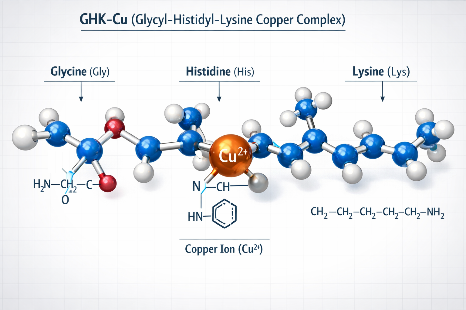 Detailed scientific illustration showing GHK-Cu molecular structure with copper ion highlighted in metallic copper color, tripeptide chain l