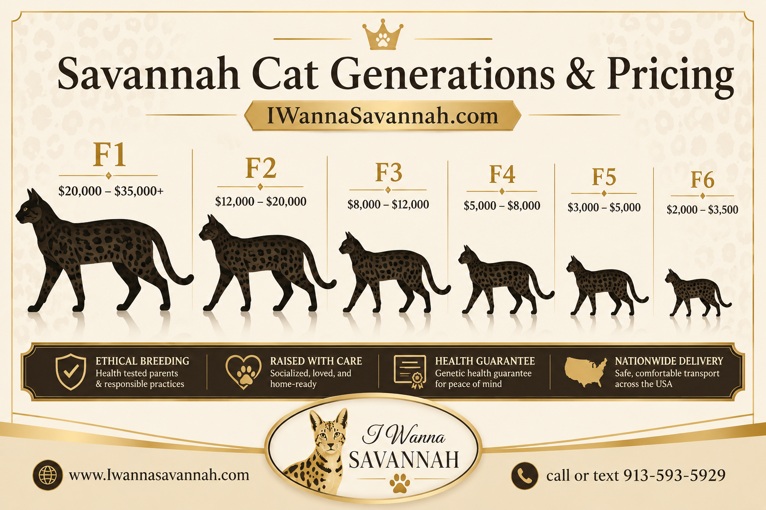 Why You Get What You Pay For With Savannah Cat Kittens