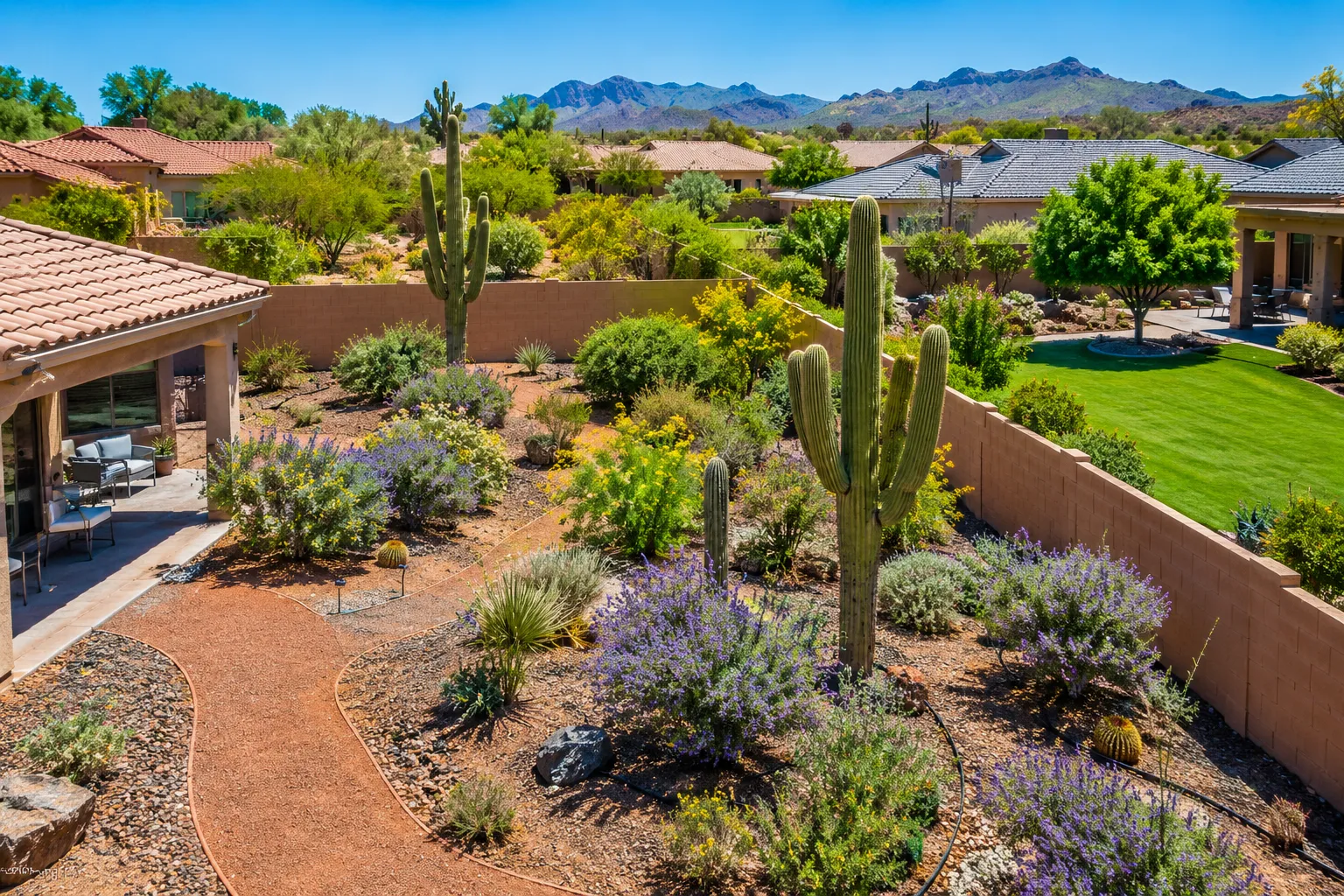 Editorial () cover image, no . Aerial drone perspective of a stunning Arizona desert residential backyard in bright midday