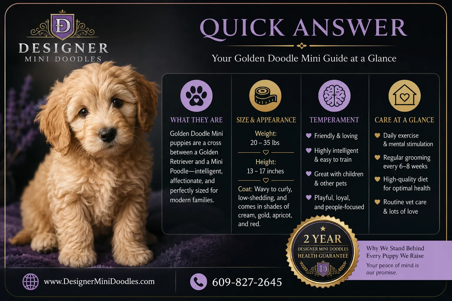 golden doodle mini puppies
